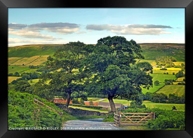 "Down the road from the moors to Botton Village" Framed Print by ROS RIDLEY