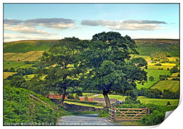"Down the road from the moors to Botton Village" Print by ROS RIDLEY