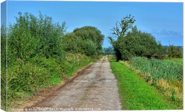 A Path Through The Somerset Levels Canvas Print by Philip Gough