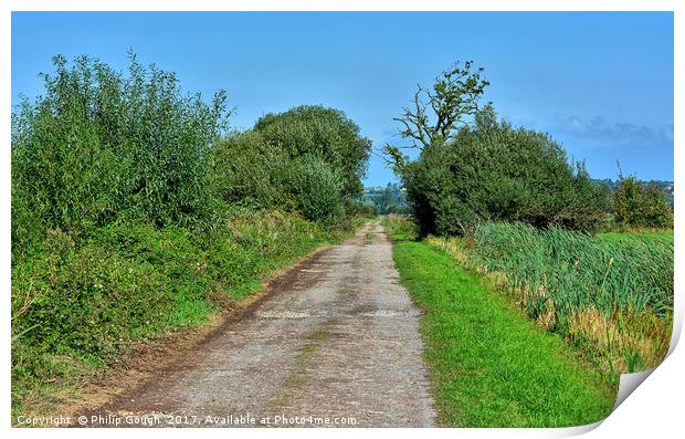 A Path Through The Somerset Levels Print by Philip Gough