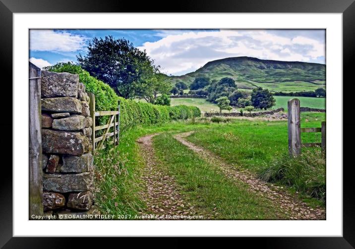 North Yorkshire moors Framed Mounted Print by ROS RIDLEY