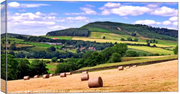 "Hay Bales in the Dales" Canvas Print by ROS RIDLEY