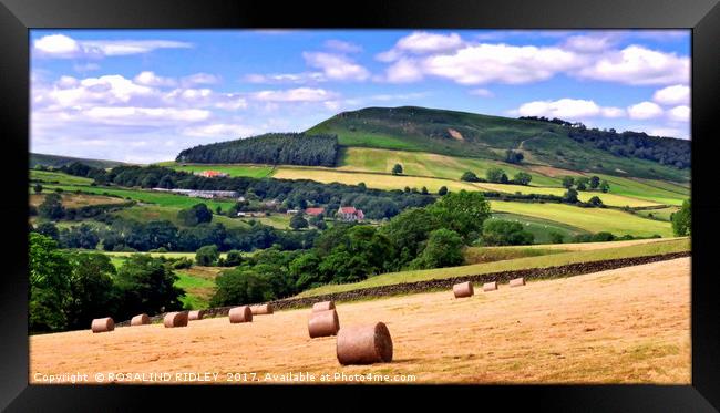 "Hay Bales in the Dales" Framed Print by ROS RIDLEY