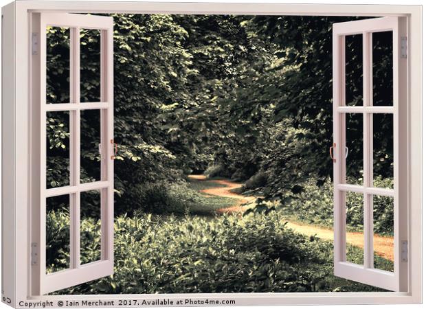 Window into the Forest Canvas Print by Iain Merchant