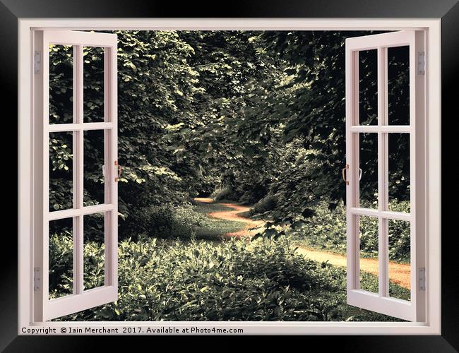 Window into the Forest Framed Print by Iain Merchant