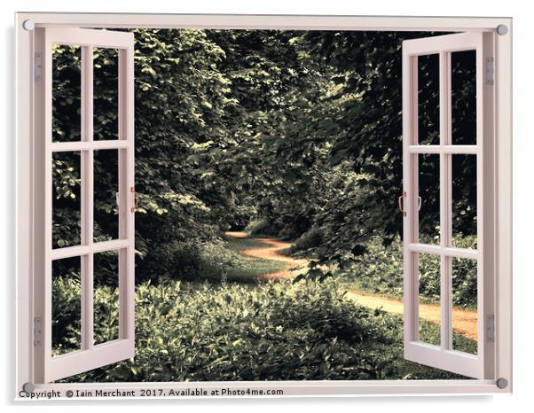 Window into the Forest Acrylic by Iain Merchant