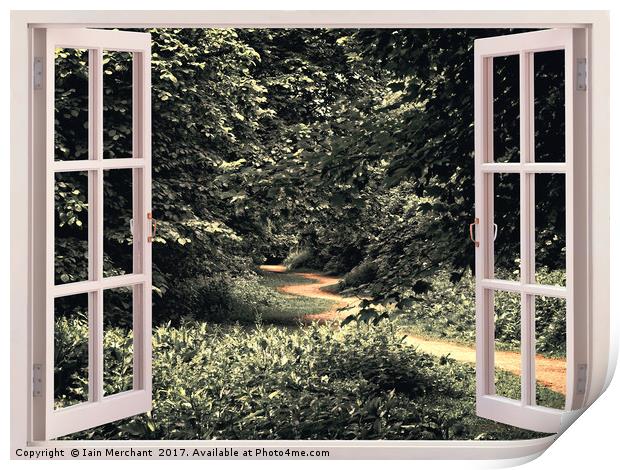 Window into the Forest Print by Iain Merchant