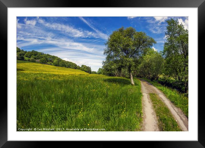 Summer Country Road  Framed Mounted Print by Ian Mitchell