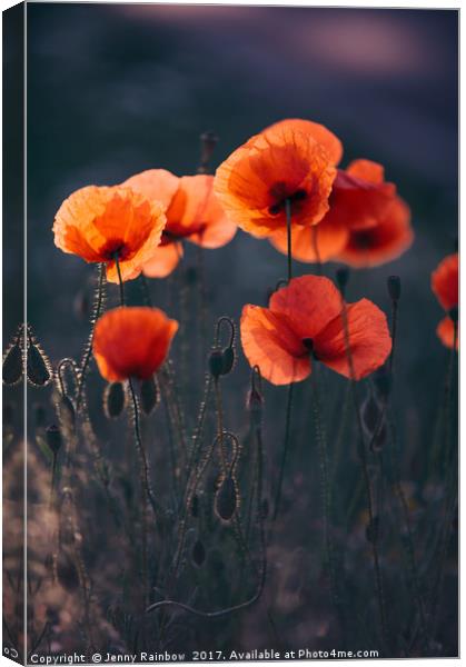 Red Poppies Remembrance Canvas Print by Jenny Rainbow