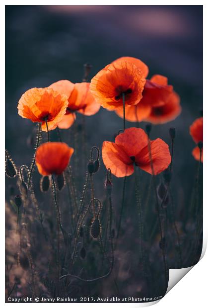 Red Poppies Remembrance Print by Jenny Rainbow