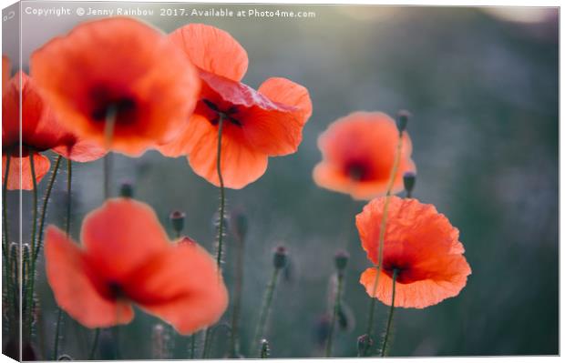 Red Poppies Remembrance 1 Canvas Print by Jenny Rainbow