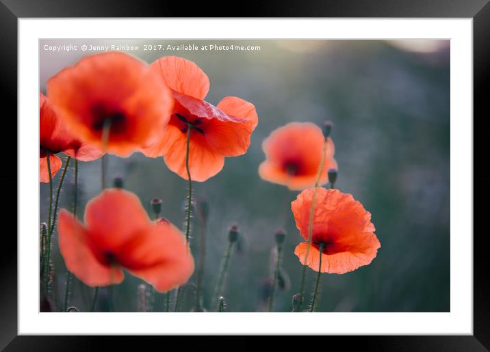 Red Poppies Remembrance 1 Framed Mounted Print by Jenny Rainbow