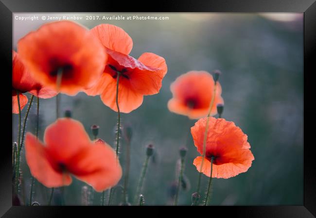 Red Poppies Remembrance 1 Framed Print by Jenny Rainbow