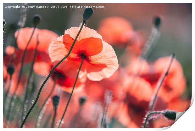 Red Poppies Remembrance 2 Print by Jenny Rainbow