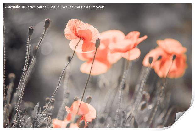 Red Poppies Remembrance 3 Print by Jenny Rainbow