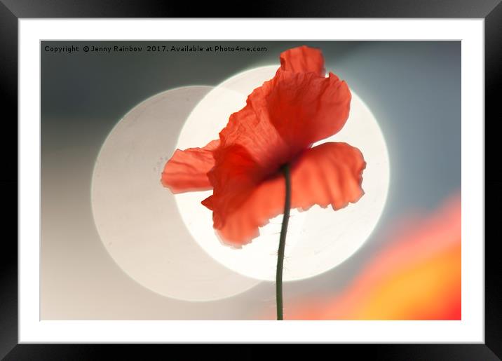 Red Poppy. Towards Sun Framed Mounted Print by Jenny Rainbow