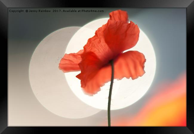 Red Poppy. Towards Sun Framed Print by Jenny Rainbow