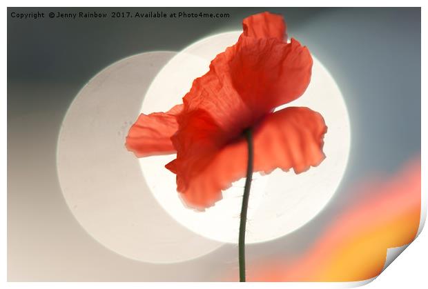 Red Poppy. Towards Sun Print by Jenny Rainbow
