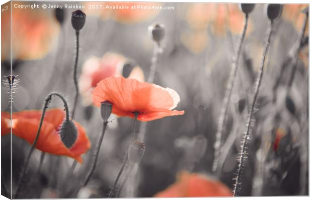 Red Poppies Remembrance 4 Canvas Print by Jenny Rainbow