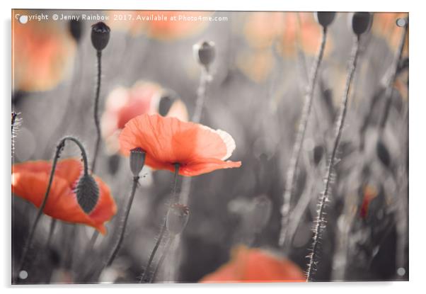 Red Poppies Remembrance 4 Acrylic by Jenny Rainbow