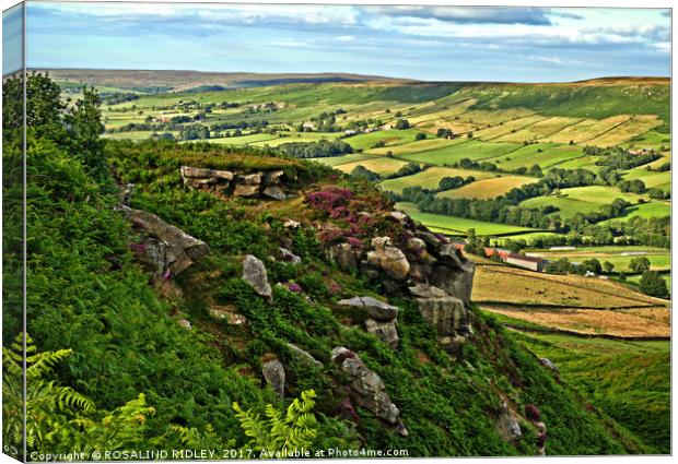 "North York Moors overlooking Danby Dale" Canvas Print by ROS RIDLEY