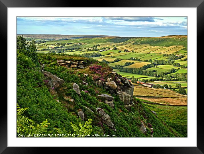 "North York Moors overlooking Danby Dale" Framed Mounted Print by ROS RIDLEY