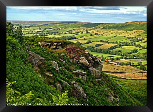 "North York Moors overlooking Danby Dale" Framed Print by ROS RIDLEY