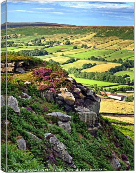 "Overlooking Danby Dale " Canvas Print by ROS RIDLEY
