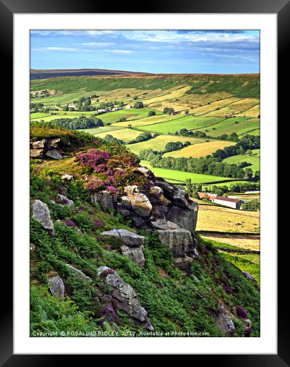 "Overlooking Danby Dale " Framed Mounted Print by ROS RIDLEY