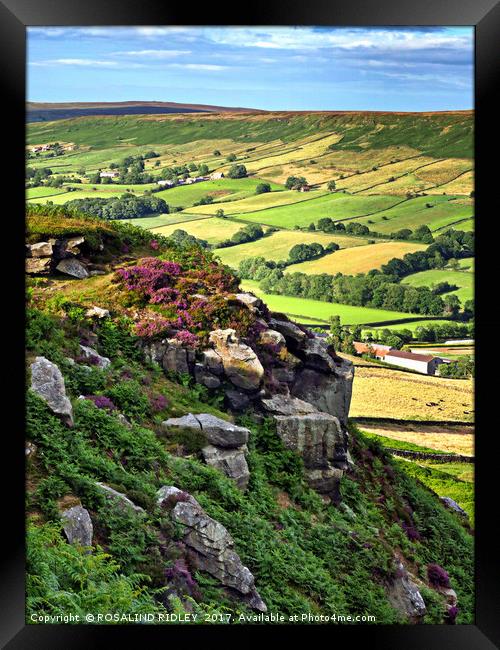 "Overlooking Danby Dale " Framed Print by ROS RIDLEY
