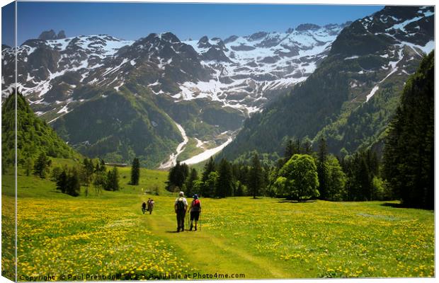 A scenic Walk through Swiss Alpine Beauty Canvas Print by Paul F Prestidge