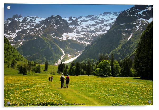 A scenic Walk through Swiss Alpine Beauty Acrylic by Paul F Prestidge