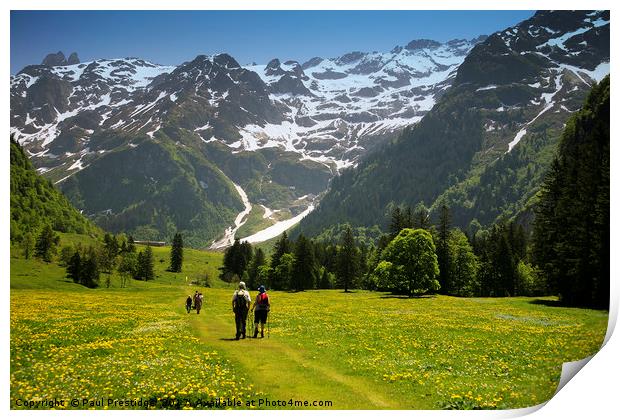 A scenic Walk through Swiss Alpine Beauty Print by Paul F Prestidge