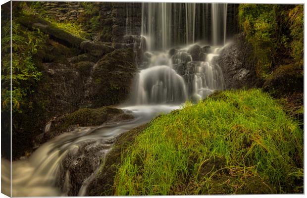 The Gill waterfall. Canvas Print by Craig Breakey