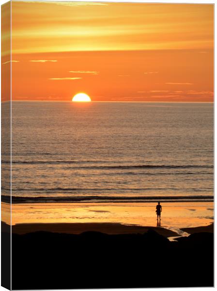 Watching The Sun Set Canvas Print by graham young