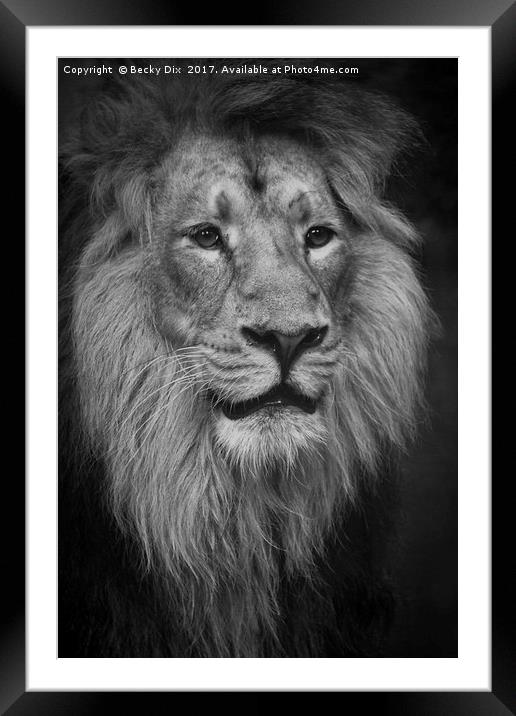 The King. Framed Mounted Print by Becky Dix