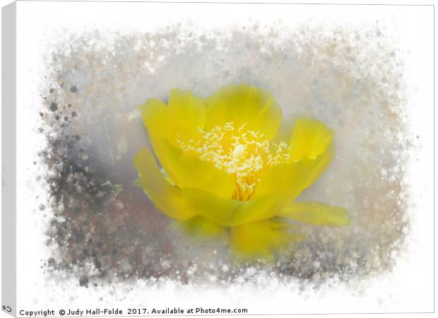 Cactus Flower Canvas Print by Judy Hall-Folde