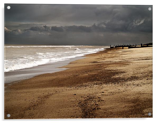 Stormy Beach - Horsey Acrylic by Paul Macro