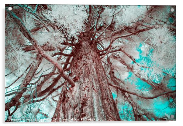Infrared Tree Acrylic by Amanda Peglitsis