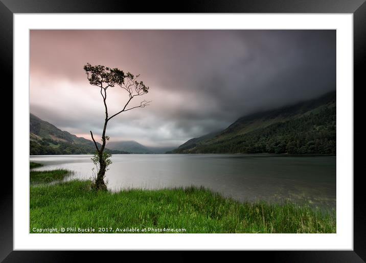 Buttermere Lone Tree Dawn Framed Mounted Print by Phil Buckle