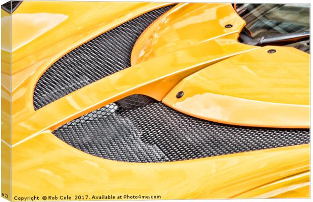 Bright Yellow Lotus Hood Canvas Print by Rob Cole