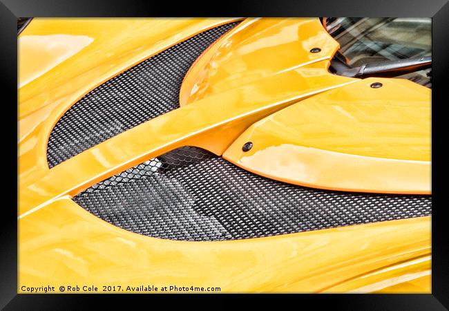 Bright Yellow Lotus Hood Framed Print by Rob Cole