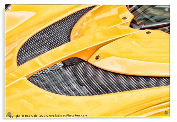 Bright Yellow Lotus Hood Acrylic by Rob Cole