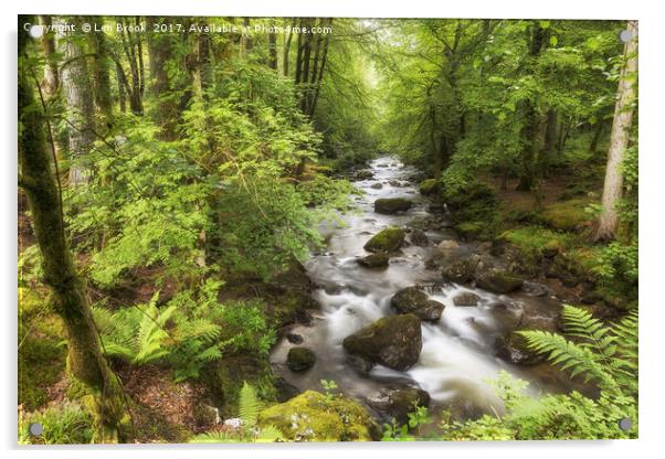 The Ardgartan Forest Acrylic by Len Brook