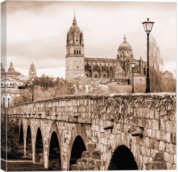  Cathedral and roman bridge in Salamanca, Spain Canvas Print by Igor Krylov