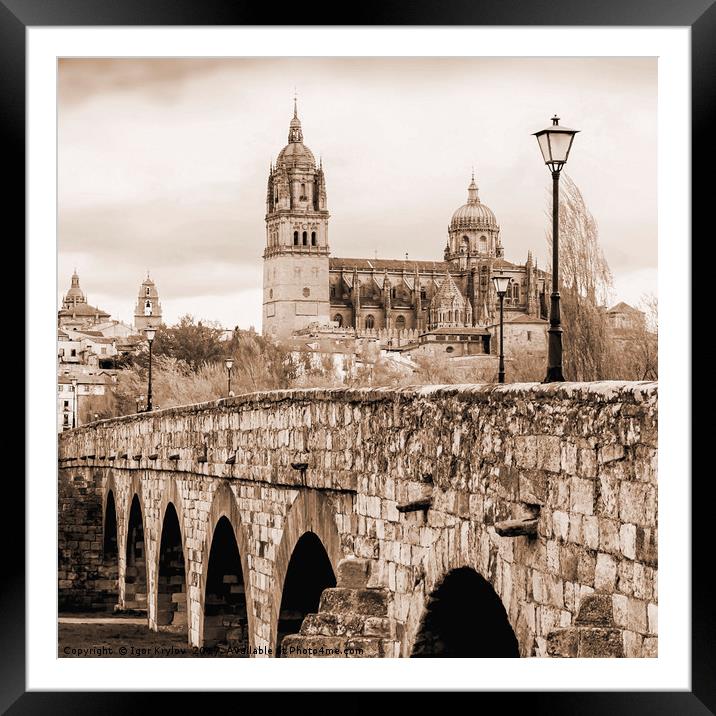  Cathedral and roman bridge in Salamanca, Spain Framed Mounted Print by Igor Krylov