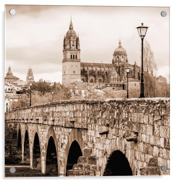  Cathedral and roman bridge in Salamanca, Spain Acrylic by Igor Krylov