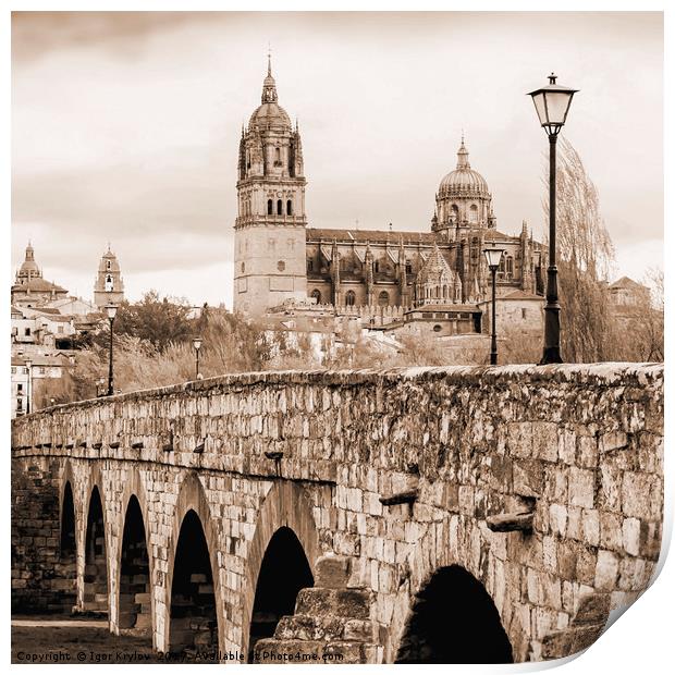 Cathedral and roman bridge in Salamanca, Spain Print by Igor Krylov