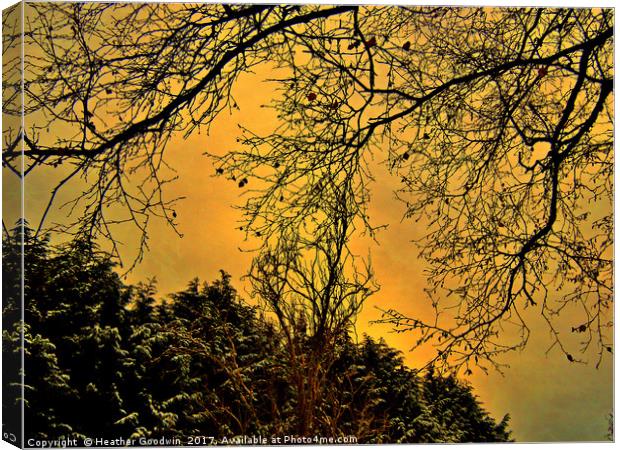 A Winter's Silhouette Canvas Print by Heather Goodwin