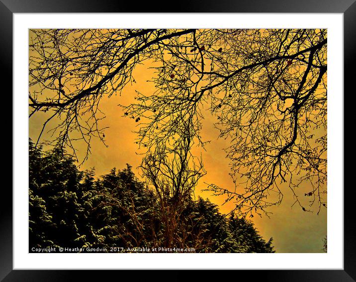 A Winter's Silhouette Framed Mounted Print by Heather Goodwin